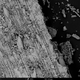 Scanning electron microscope image of a cave sample, showing prickles and stomata.